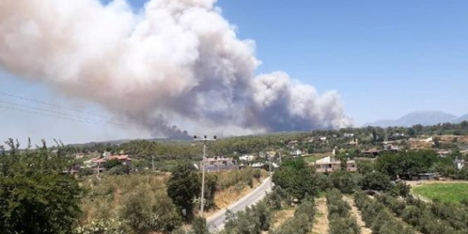 Manavgat'ta orman yangını