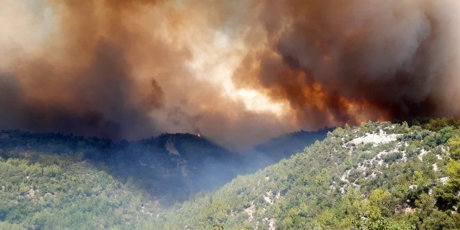 Manavgat'ta 4 noktada orman yangını