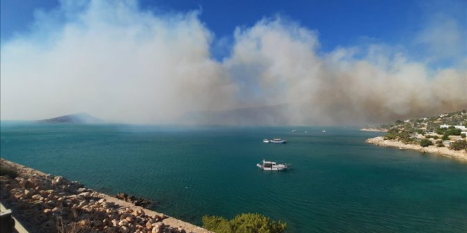 Mersin'in Silifke ilçesinde çıkan orman yangınına müdahale ediliyor