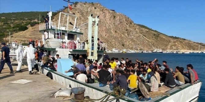 231 düzensiz göçmen yakalandı