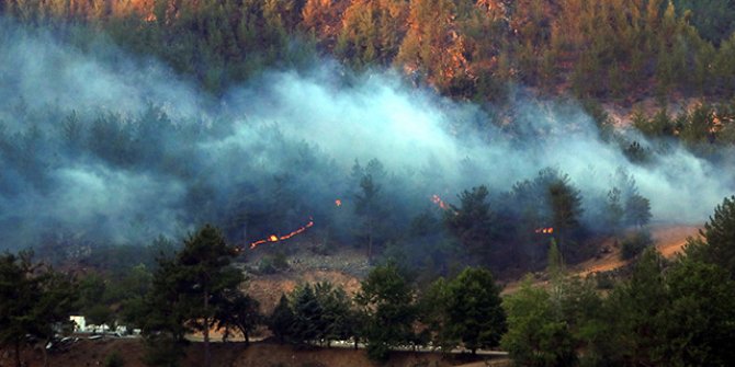 Adana’da 4 ilçedeki 6 noktada orman yangını sürüyor