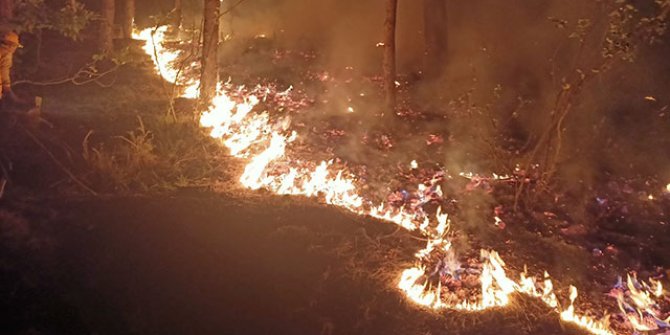 Kahramanmaraş'ta 3 hektar orman alanı yandı