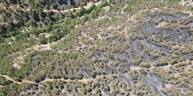 Kayseri’deki orman yangını 3'üncü günde kontrol altında