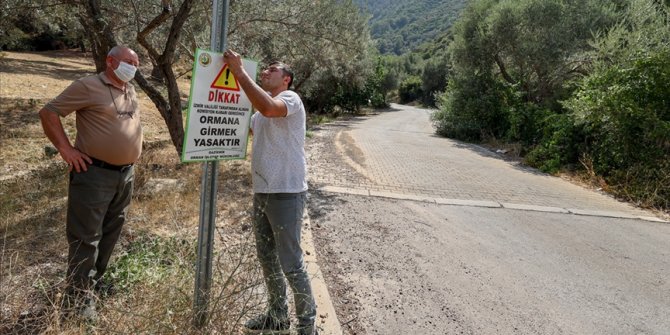 Bazı illerde ormanlık alanlara girişler yasaklandı