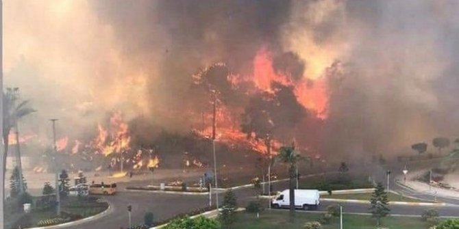 Orman yangınlarından kahreden haber! Ölü sayısı arttı