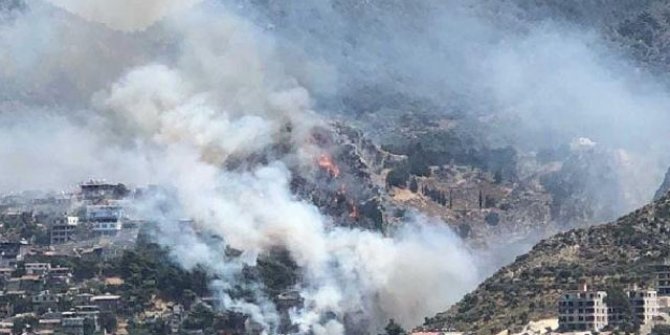 Hatay'da orman yangını