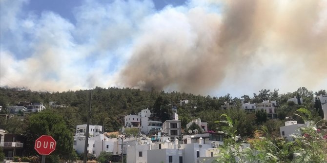 Bodrum'da makilik ve ormanlık alanda çıkan yangına müdahale ediliyor