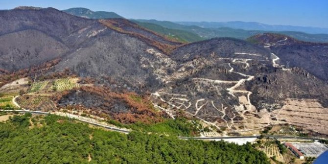 Başkent'ten Fidan Seferberliği