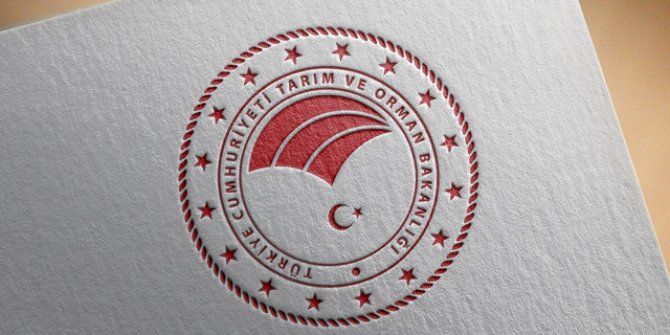 3 ilde 7 yangın devam ediyor