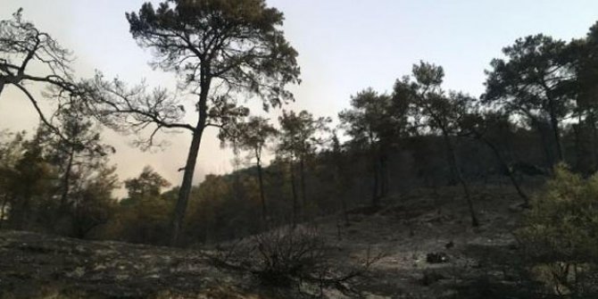 Seydikemer yangını, kısmen kontrol altında