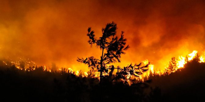 Bakan Pakdemirli: Uçak ve helikopterleri kiralayarak hizmet alıyoruz