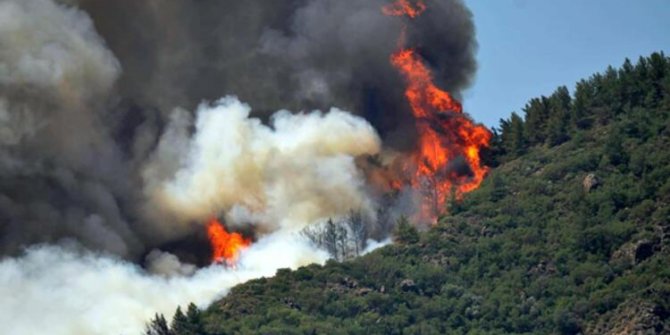 Yayınlarda güzel haberler peş peşe geliyor: DENİZLİ'DE YANGINLAR KONTROL ALTINDA