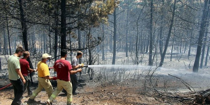 Uşak'taki orman yangını kontrol altına alındı