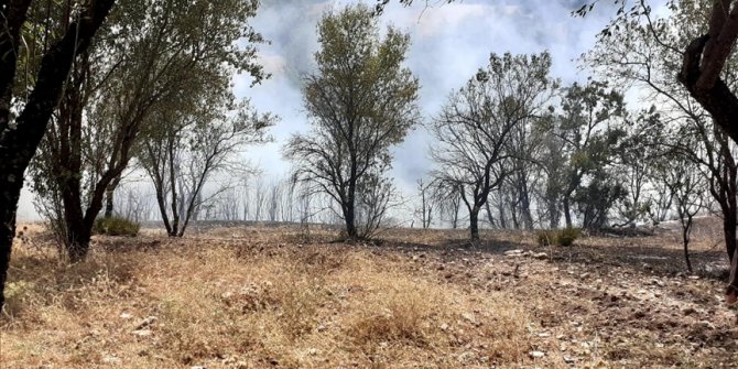 Balıkesir'in Dursunbey ilçesindeki yangın kontrol altına alındı