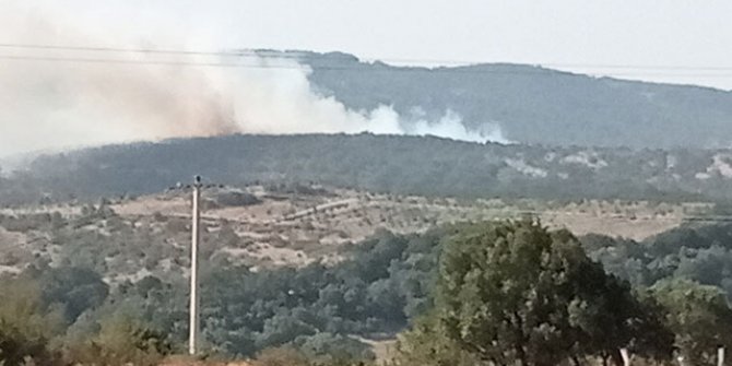 Balıkesir'deki orman yangını kontrol altında