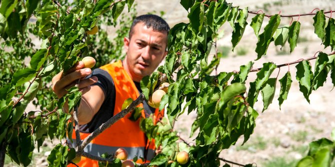 Ankara'ya nefes çocuklara meyve 