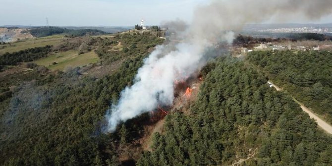 Yangınlarla ilgili müthiş haberi Bakan Ersoy duyurdu