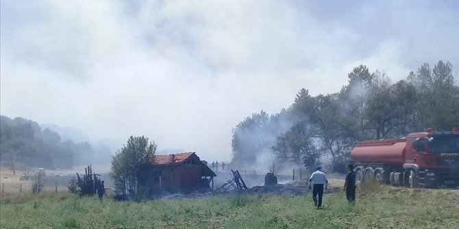 Nallıhan'da ormanlık alandaki yangın söndürüldü