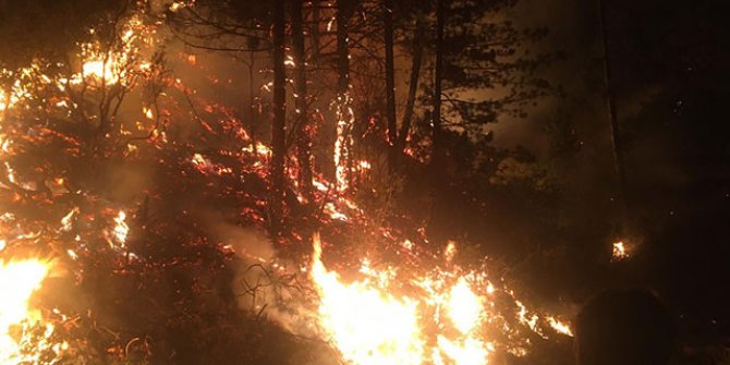 Karacasu'daki yangında 3'üncü gün; bir mahallede kısmi tahliye