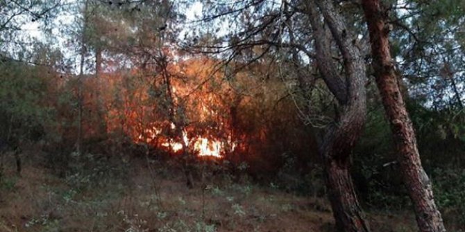 Karabük merkez yangını kontrol altına alındı, soğutma çalışmaları devam ediyor