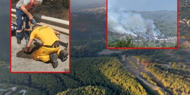 Dörtyol'daki orman yangınında 15 hektar alan zarar gördü