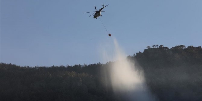 Pakdemirli: Muğla'da ve Aydın'daki 3 orman yangını için çalışmalar devam ediyor