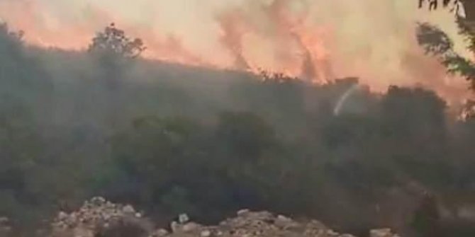 Bodrum'da makilik alanda yangın