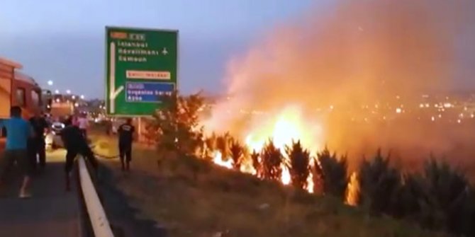 Ankara'da otoyol kenarında çamlık alan yandı