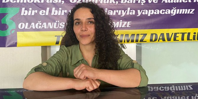 Muş'ta HDP İl Eş Başkanı Nergiz, gözaltına alındı