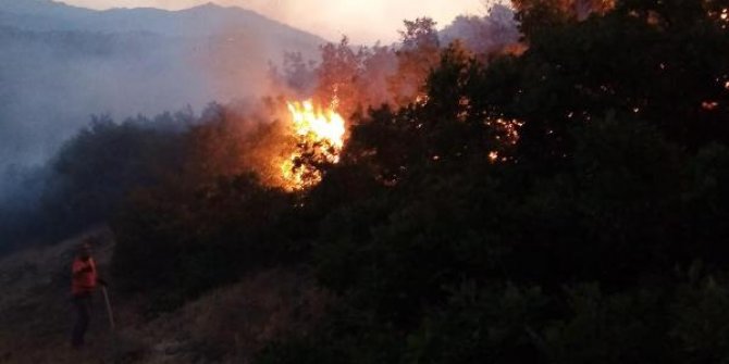 Bingöl’de çıkan orman yangını kısa sürede söndürüldü