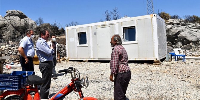 Muğla'da orman yangınlarının yaraları sarılıyor