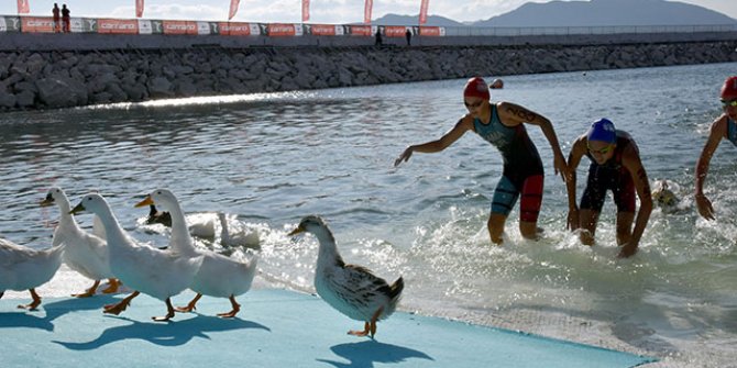 Sporcular, ördeklerle yarıştı