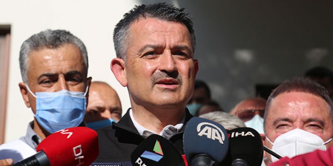 Bakan Pakdemirli: Muğla ve Aydın yangınları kontrol altına alındı