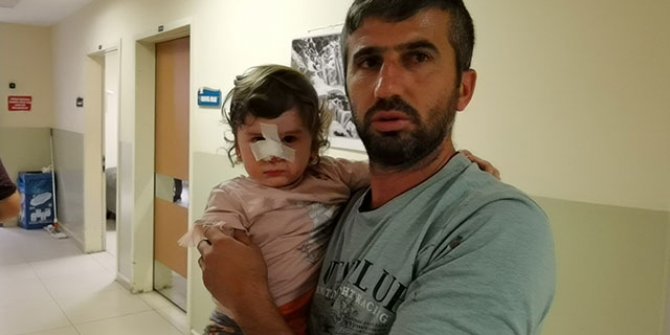Köpeğin saldırısına uğrayan çocuk yaralandı 
