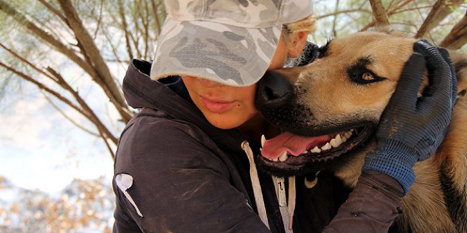 Öğretmen Eda, sokak köpekleri için tayini reddetti