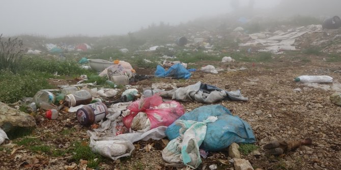 Taşköprü Yaylası çöplüğe döndü