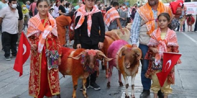 Denizli'de koçlu kortej renkli görüntüler oluşturdu