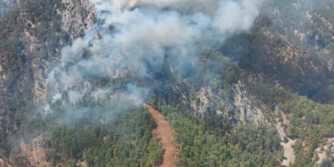 Köyceğiz'de orman yangını başladı