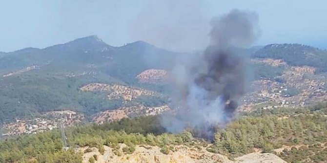 Bodrum'da orman yangını