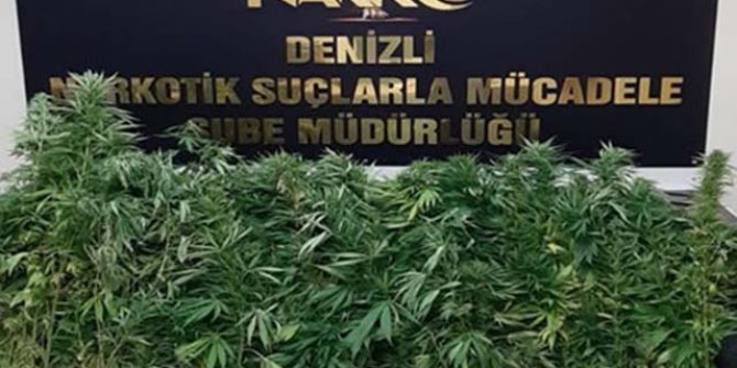 Denizli'de uyuşturucu operasyonuna 13 gözaltı