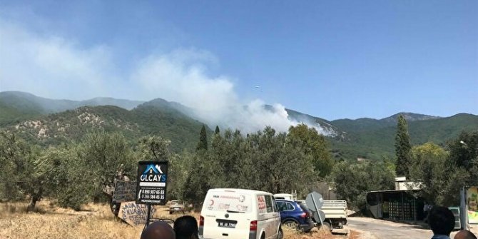 Kazdağları’nda orman yangını: 29 helikopter ve 4 uçakla müdahale sürüyor