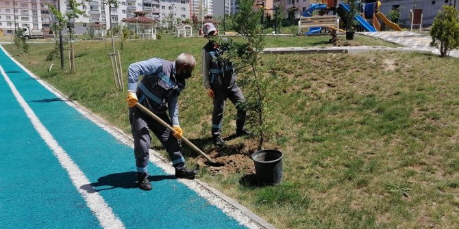 Park sayısı artıyor