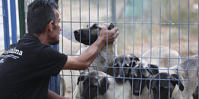Sinop'taki selden etkilenen 19 'can' Ankara'da yeni yuvasına kavuştu
