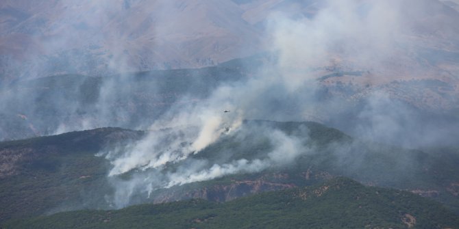 Tunceli'de örtü yangını