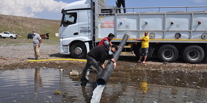 Kars'taki göllere 2 milyon yavru sazan bırakıldı