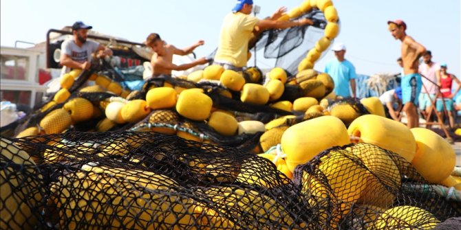 Tekirdağlı balıkçılar yeni sezonda lüfer ve palamuttan umutlu