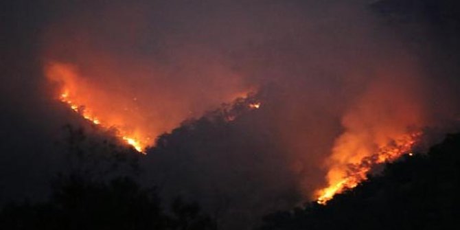 Munzur Vadisi Milli Park’taki yangına müdahale sürüyor