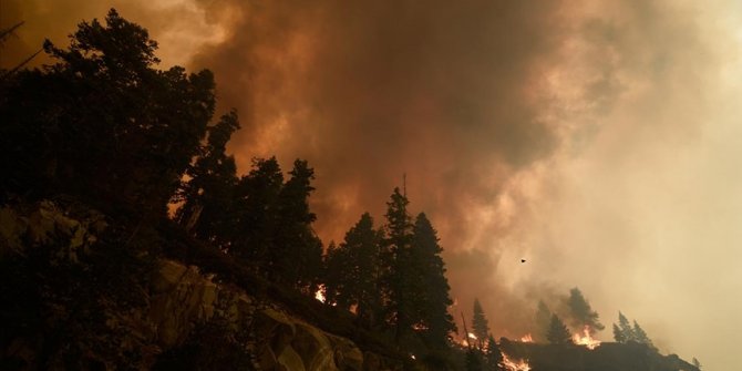 California'daki 'Caldor' yangını 756 kilometrekare alanı tahrip etti