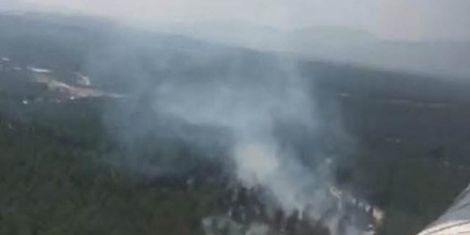 Manisa'da orman yangını