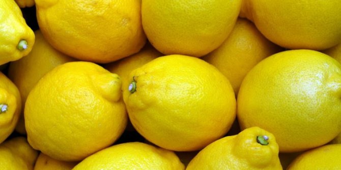 Boztepe Tarım İşletmesi Müdürlüğü’nden satılık 4100 ağaç limon